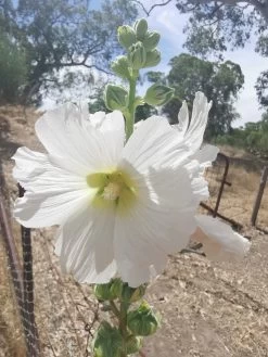Garden Fresh Shop -Garden Fresh Shop IMG 20210103 153002 scaled 1