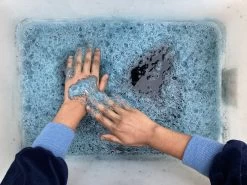 Other Indigo (Persicaria Tinctoria) Seeds -Garden Fresh Shop IMG 2709