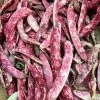 Climbing Beans – Speckled Cranberry Seeds -Garden Fresh Shop IMG 3139 scaled 1