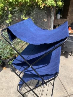 Other Indigo (Persicaria Tinctoria) Seeds -Garden Fresh Shop IMG 3149