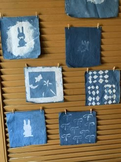 Other Indigo (Persicaria Tinctoria) Seeds -Garden Fresh Shop IMG 3501