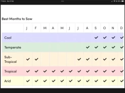 Ring Of Fire Sunflower Seeds 8 Ring Of Fire Sunflower Seeds -Garden Fresh Shop IMG 3688