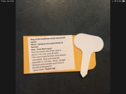 Ring Of Fire Sunflower Seeds 9 Ring Of Fire Sunflower Seeds -Garden Fresh Shop IMG 3689