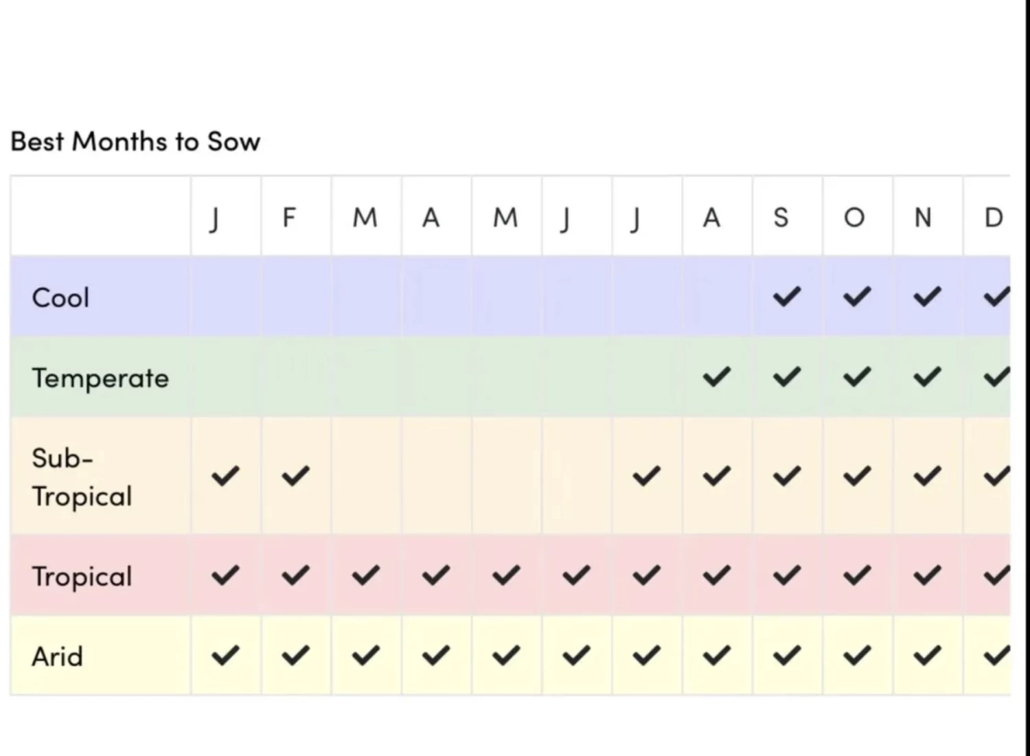 Sunflower Total Eclypse Seeds 6 Sunflower Total Eclypse Seeds - Image 4