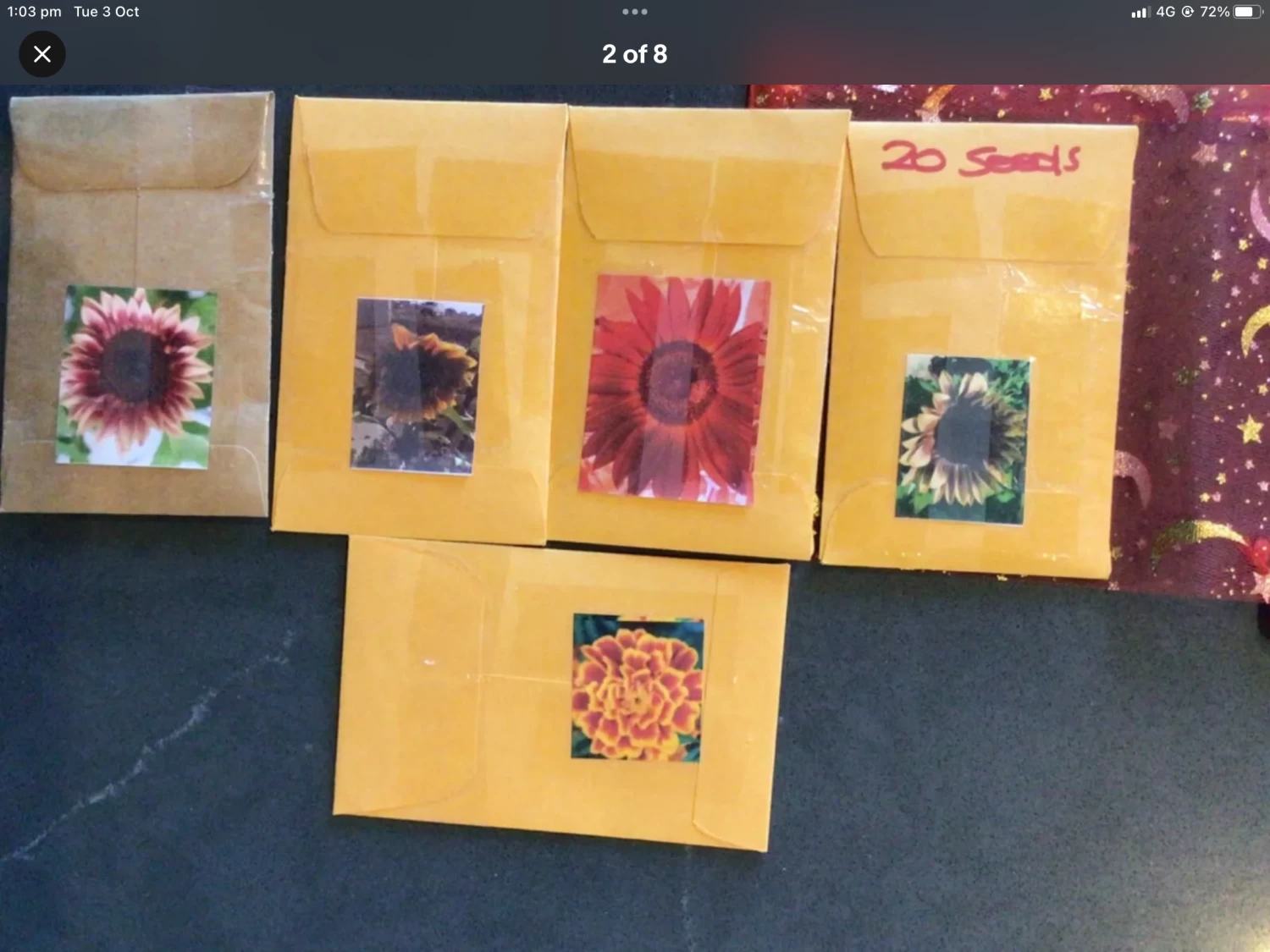 Sunflower Gift Pack Seeds 4 Sunflower Gift Pack Seeds - Image 2