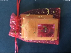 Sunflower Gift Pack Seeds 11 Sunflower Gift Pack Seeds -Garden Fresh Shop IMG 5011