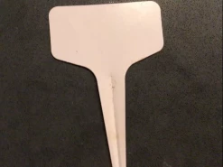 Sunflower Gift Pack Seeds 15 Sunflower Gift Pack Seeds -Garden Fresh Shop IMG 6505