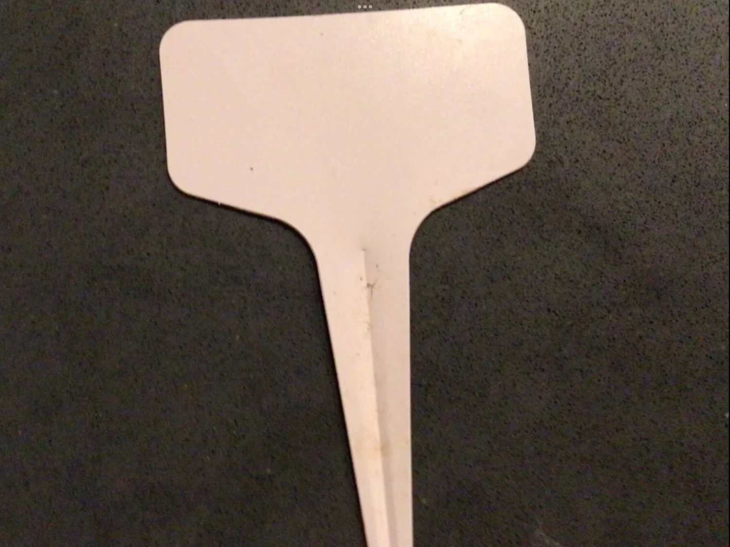 Sunflower Gift Pack Seeds 9 Sunflower Gift Pack Seeds - Image 7