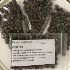 Other Castor Oil Seed Ricinus Communis Seeds -Garden Fresh Shop IMG 7829 scaled 1