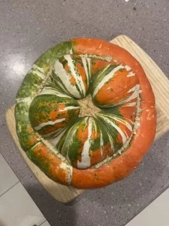 Turks Turban Squash Seeds -Garden Fresh Shop IMG 9267 scaled 1