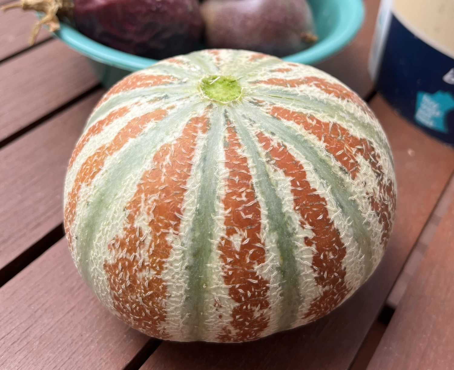 Kajari Melon / Indian Rockmelon Seeds 3 Kajari Melon / Indian Rockmelon Seeds