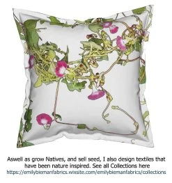 Ipomoea Quamoclit – Cypress Fern Vine, ‘pinkalishous’ Seeds 19 Ipomoea Quamoclit – Cypress Fern Vine, ‘pinkalishous’ Seeds -Garden Fresh Shop Ipomoea Textiles The Ipomoea story Pink cushion