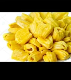 Jackfruit Seedling Plant -Garden Fresh Shop Jackfruit 2