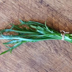 Other Minutina Seeds