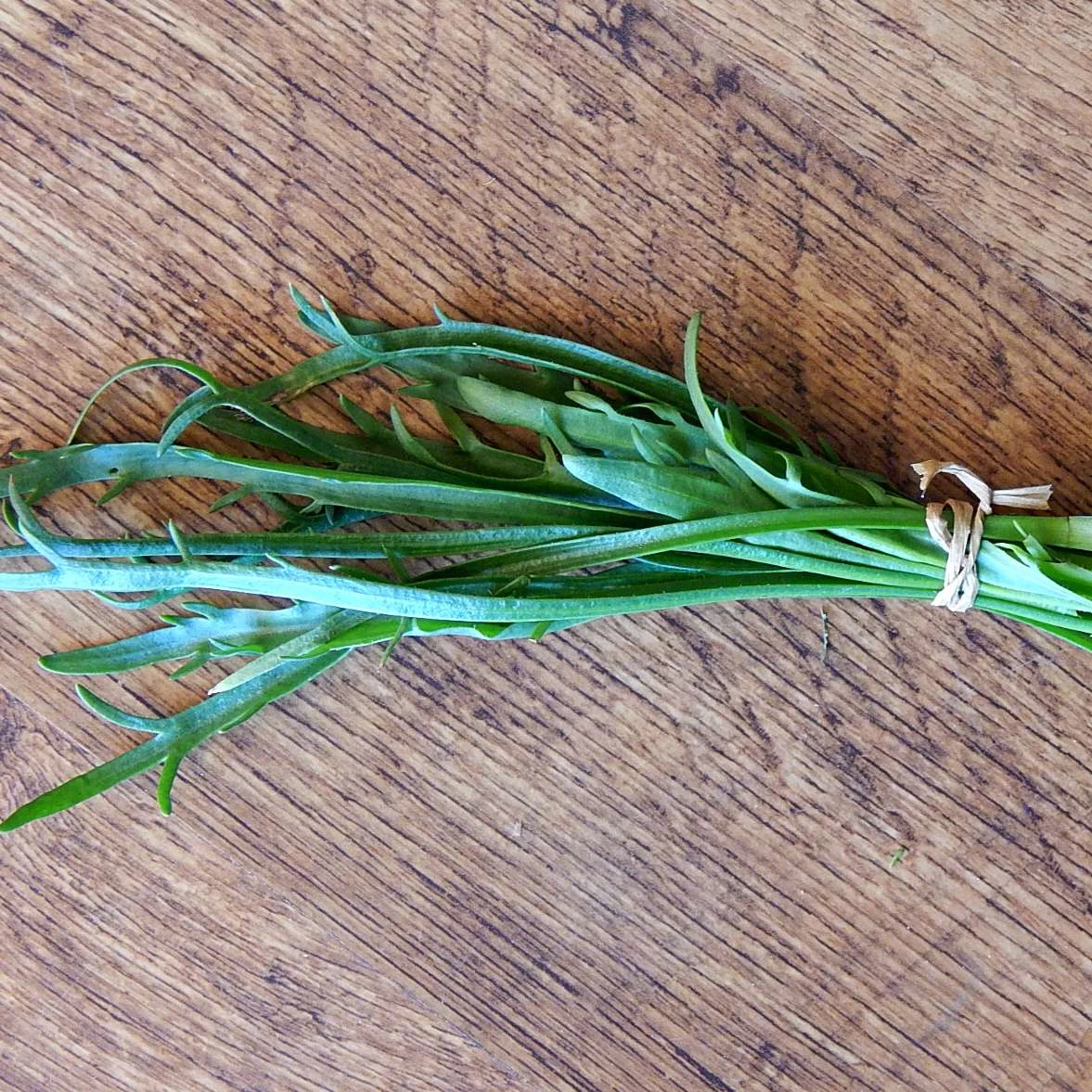 Other Minutina Seeds 3 Other Minutina Seeds