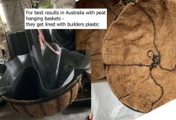 Petunia ‘Giant Cherry’ – Petunia X Hybrida Grandiflora Seeds -Garden Fresh Shop Peat Hanging Baskets get lined with Builders Plastic