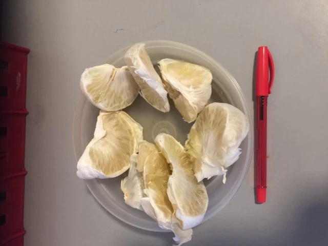 Other Pomelo Seeds 4 Other Pomelo Seeds - Image 2