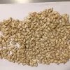 Pumpkin Seeds -Garden Fresh Shop Pumpkin seeds 1