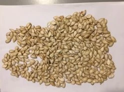 Pumpkin Seeds
