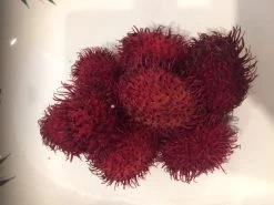 Other Rambutan Seeds