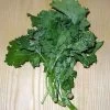 Organic Broccoli Rapini Seeds -Garden Fresh Shop Rapini