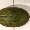 Other Sapo Melon Seeds -Garden Fresh Shop Sapo Melon 1