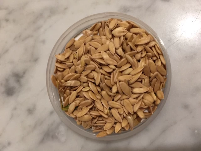 Other Sapo Melon Seeds 4 Other Sapo Melon Seeds - Image 2