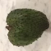Other Soursop Seeds 1 Other Soursop Seeds -Garden Fresh Shop SourSop 1 2