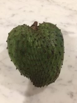 Soursop Seedling Plants For Pots Or Ground