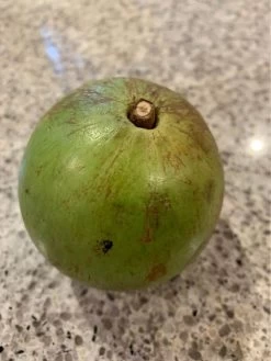 Other Star Apple (from Australian-grown Trees) Seeds -Garden Fresh Shop Star Apple 1
