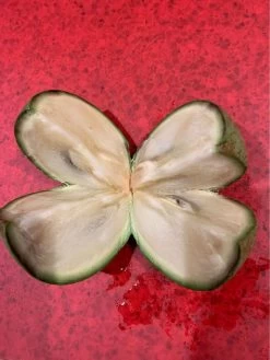 Other Star Apple (from Australian-grown Trees) Seeds -Garden Fresh Shop Star Apple 4