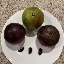 Other Star Apple (from Australian-grown Trees) Seeds -Garden Fresh Shop Star Apple 6
