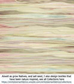 Acacia Acinacea – Gold Dust Wattle Seeds 7 Acacia Acinacea – Gold Dust Wattle Seeds -Garden Fresh Shop Stripe Textiles Nouveau Stripes 2020 Gradient Pascals 107hy scaled 1