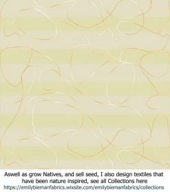 Acacia Spectabilis – Mudgee Wattle Seeds -Garden Fresh Shop Stripe Textiles Venus Stripes gold H with POP PERFECTION gradient stroke scaled 1