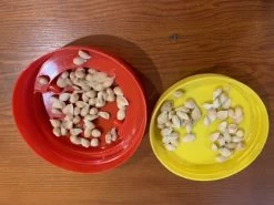 Other Sudachi (Yuzu Hybrid) Seeds 9 Other Sudachi (Yuzu Hybrid) Seeds -Garden Fresh Shop Sudachi 1