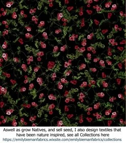 Eucalyptus Ficifolia X Calophylla (Corymbia Ficifolia X Calophylla) Seeds -Garden Fresh Shop Textiles Pandorea jasminoides Clusters plasticwrap 0002019