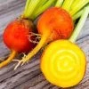 Beetroot Golden Detroit Seeds -Garden Fresh Shop beetgolden2
