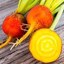 Beetroot Golden Detroit Seeds