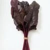 Beetroot Red Devil Seeds -Garden Fresh Shop beetrootreddevil2