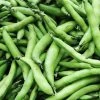 Broad Bean Coles Dwarf Seeds -Garden Fresh Shop broadbean3