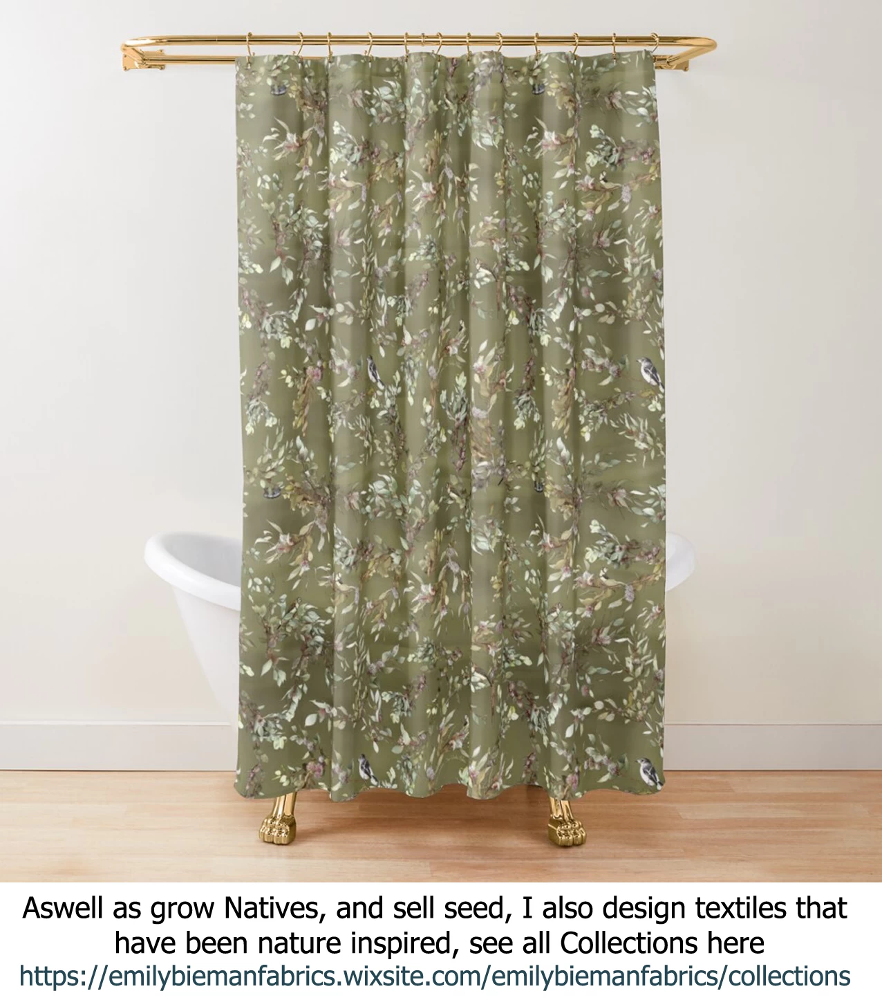 Hakea Grammatophylla – MacDonnell Ranges Hakea Seeds 8 Hakea Grammatophylla – MacDonnell Ranges Hakea Seeds - Image 6