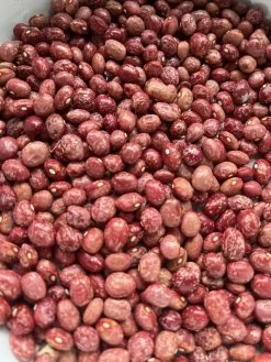 Semi Climbing Beans – Anto Nearly Round Seeds