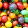 Mixed Heirloom Tomato Seeds -Garden Fresh Shop mixedtoms1