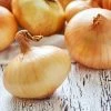 Onion Yellow Spanish Early Seeds 1 Onion Yellow Spanish Early Seeds -Garden Fresh Shop onionyellow