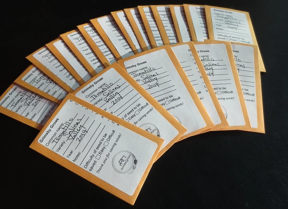 Organic Lettuce Salad Bowl Red Seeds 3 Organic Lettuce Salad Bowl Red Seeds