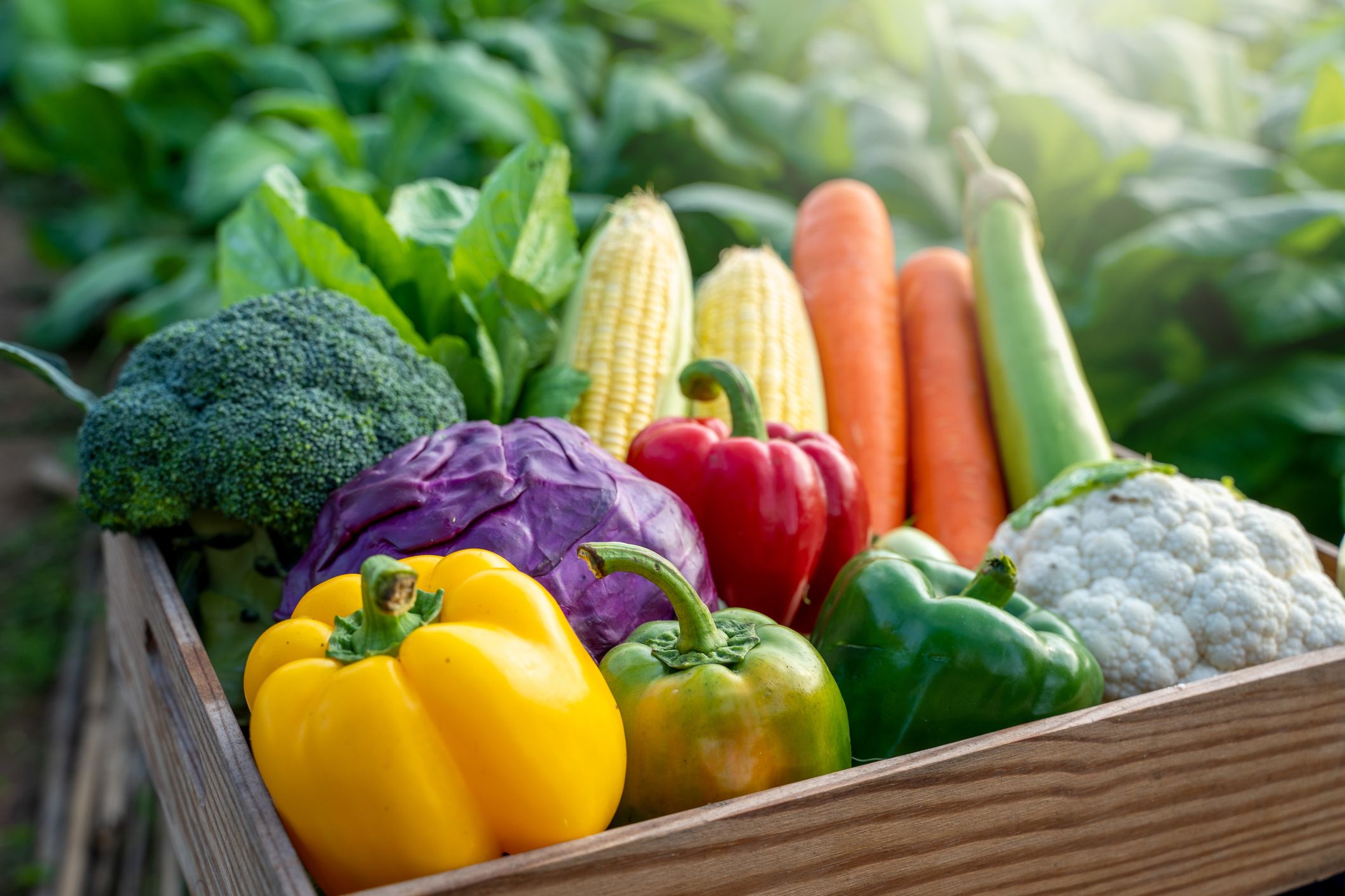 Garden Fresh Shop -Garden Fresh Shop vegetables that are actually fruit 66ccedf92ec3a